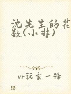 沈先生的花式调数(小非)封面