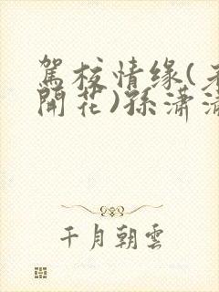驾校情缘(老树开花)孙潇潇笔趣阁封面
