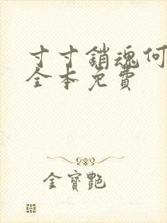 寸寸销魂何生祥全本免费封面