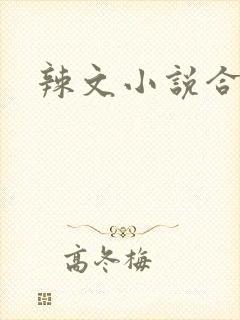 辣文小说合集