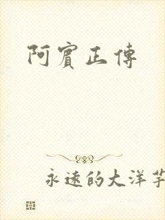 阿宾正传