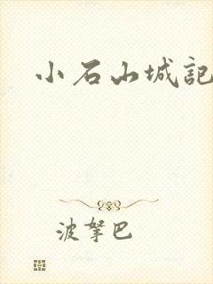 小石山城记封面