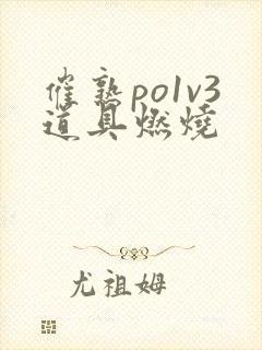 催熟po1v3道具燃烧封面