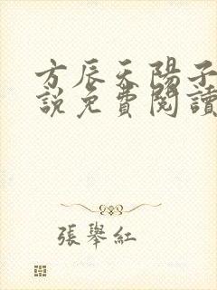 方辰天阳子的小说免费阅读