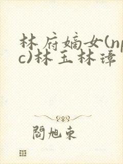 林府嫡女(npc)林玉林璋