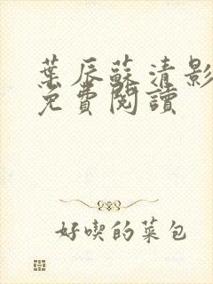 叶辰苏清影全文免费阅读封面