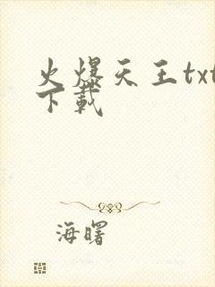 火爆天王txt下载封面