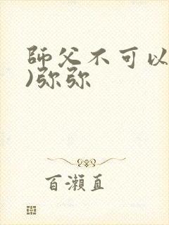 师父不可以(限)弥弥封面