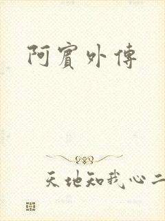 阿宾外传