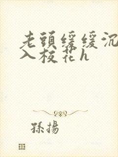 老头缓缓沉腰进入校花h