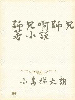 师兄啊师兄的原著小说