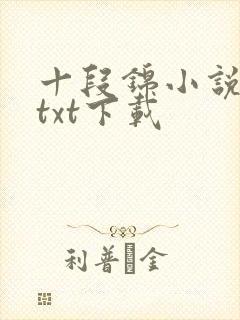 十段锦小说全本txt下载