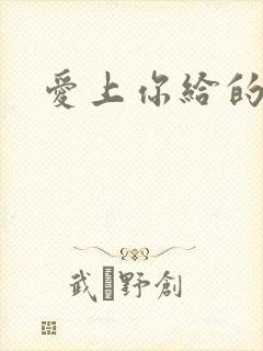 爱上你给的痛