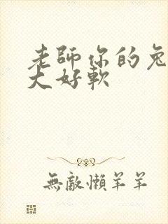 老师你的兔子好大好软