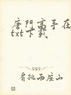 唐门高手在异世txt下载封面