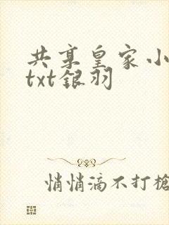 共享皇家小公主txt银羽