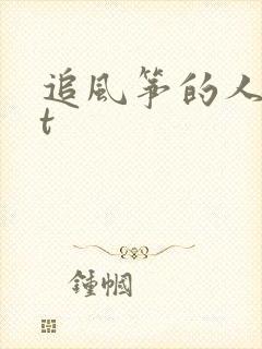 追风筝的人txt封面