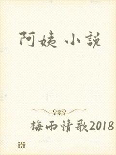 阿姨 小说