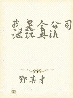 我是全公司的发泄玩具ih