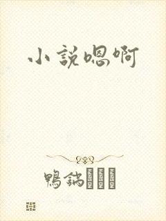 小说嗯啊