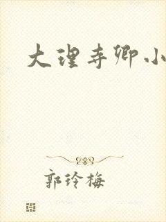 大理寺卿小说封面