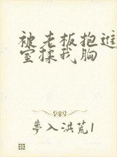 被老板抱进办公室揉我胸封面