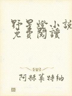 野星灯小说全文免费阅读封面
