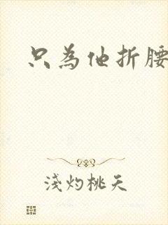 只为他折腰封面