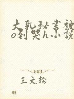 大乳秘书被cao到哭h小说