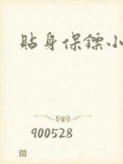贴身保镖小说