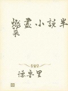 燃尽小说半截白菜
