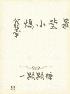 翁熄小莹最新节章封面