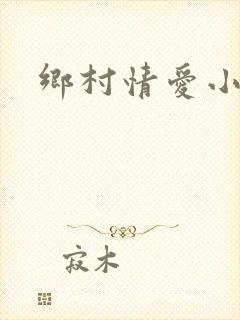 乡村情爱小说