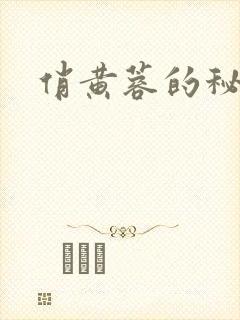 俏黄蓉的秘密封面