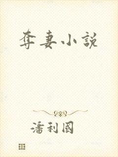 夺妻小说封面