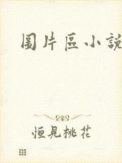 图片区小说区