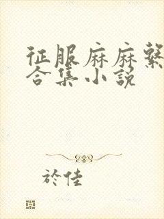 征服麻麻系列大合集小说