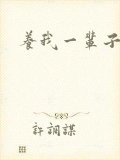 养我一辈子封面
