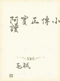 阿宾正传小说在读