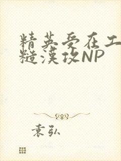 精英受在工地被糙汉攻NP