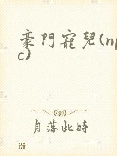 豪门宠儿(npc)