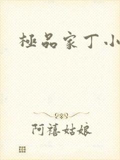 极品家丁小说