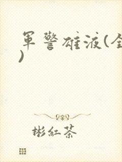 军警雄液(全篇)封面