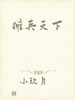 拥兵天下