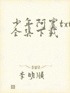 少年阿宾txt全集下载封面