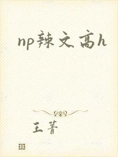 np辣文高h封面