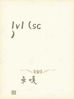 1v1 (sc)封面