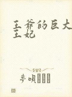 王爷的巨大进入王妃封面