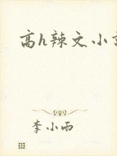 高h辣文小说