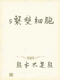 s系双细胞